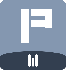 Prompt Engineer